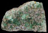 Fluorite & Galena Cluster - Rogerley Mine #60366-2